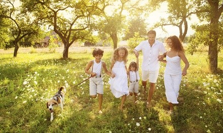 $68 for 60-Minute Family Photo Session at Lisa Simone Photography ($150 Value) 