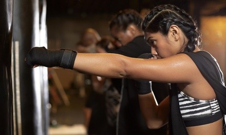 $30 for $59 Worth of Boxing Lessons — Olympus Boxing and MMA Fitness