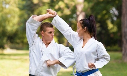 $81.75 for Private Session for Up to 3 People at Sifu Art Dag Praying Mantis Boxing and Taiji ($109 Value)