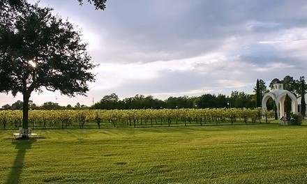 Tour and Wine Tasting for Two or Four at Haak Vineyards & Winery (Up to 43% Off)