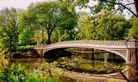 $138 for $250 Worth of Services — INTEGRATIVE PSYCHOTHERAPY NYC