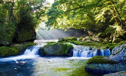 $83 for $150 Worth of Services — Be The Dream