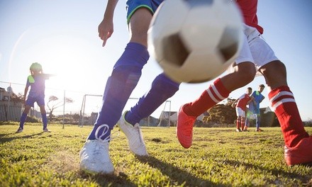 1, 2, 3, or 4 Kids' Professional 45-Minute Group Soccer Lessons at Arlington Rush Soccer (Up to 72% Off)
