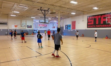 Up to 50% Off on Basketball - Recreational at Stack Sports Performance
