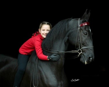 Up to 35% Off on Horse Back Riding - Recreational at Ingleside Farm