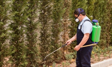 53% Off Pest Control Service - General