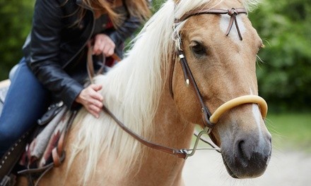 $285 for Four-Day Horseback-Riding Summer Camp for One Child Aged 8–18 at RNR Stables ($400 Value)