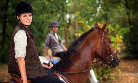 Horseback Riding at Black Creek Hill Farms (Up to 51% Off)  