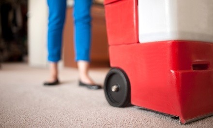 Up to 57% Off on Carpet Cleaning at Diamond shyne carpet cleaning