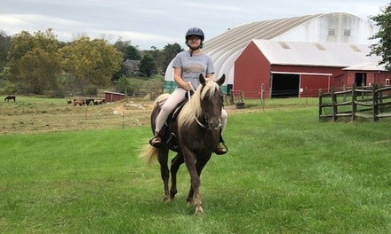 $49 for One Private Horseback-Riding Lesson at The JBiT Ranch, LLC ($65 Value)