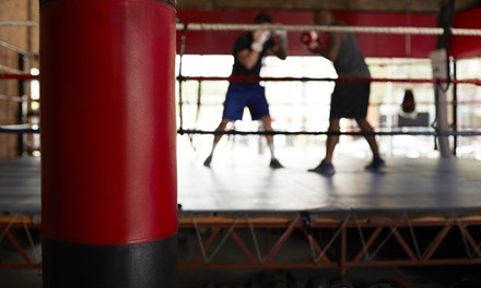 50% Off Boxing / Kickboxing - Training