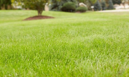 Full Weed-Control and Crabgrass Treatment with Optional Fertilizer Treatment from Weed Man (Up to 81%Off)