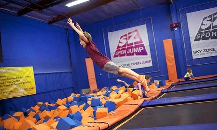 $13.99 for One 90-Minute Jump Pass at Sky Zone - Roswell ($19.99 Value)