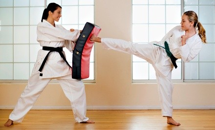 Tae Kwon Do Training at Top Tae Kwon Do Institute (Up to 70% Off). Six Options Available.