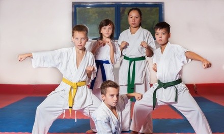 Taekwondo Classes at Prestige Martial Arts & Fitness (Up to 84% Off). Three Options Available.