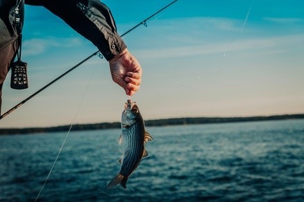 $300 for Half-Day Fly Fishing Trip for Up To Two at Playin-Hooky ($400 Value)