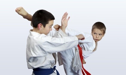 Three Weeks of Unlimited Martial Arts Classes at New international karate (55% Off)