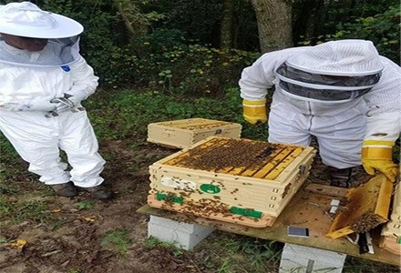 Up to 35% Off on Subscription Box - Health & Fitness at growhoney.com