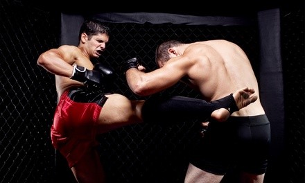 One Month of Gracie Jiu-Jitsu Classes at Atlanta Martial Art Center (74% Off)  