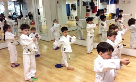 Up to 81% Off on Self Defense Course at Tiger Strong NYC