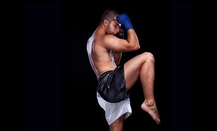 Up to 60% Off on Boxing / Kickboxing - Training at Combat Concepts Academy