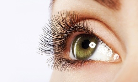 One Lash Lift with Optional Tint at Iris Eyelash Studio (Up to 64% Off)