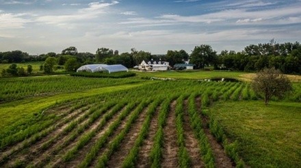 Hemp Farm Tour for Two or Four at High Hopes Farm (Up to 52% Off)