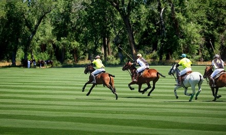 Admission to Celebration of The Horse at Denver Polo Club on Saturday, June 5, or Sunday, June 6 (Up to 25% Off)