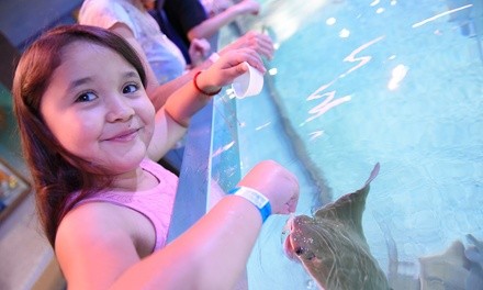 Up to 42% Off on Aquarium Visit at SeaQuest Interactive Aquarium - Woodbridge, NJ