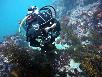 Up to 83% Off on SCUBA (Activity / Experience) at San Francisco Scuba