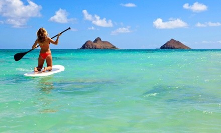 3-Hour Paddleboard Rental for 1 or 2, or 1-Hour Paddleboard Tour for 2 from BC Surf & Sport (Up to 78% Off)