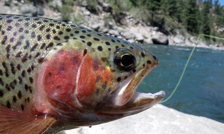 Half-Day Dry-Land Fly-Fishing Lesson for One or Two from Stillwater Guide Service (Up to 43% Off)