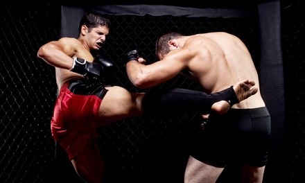 Up to 50% Off on Martial Arts Training at East Coast Krav Maga