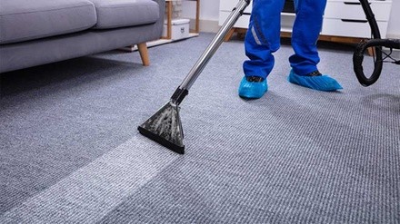 Up to 49% Off on Carpet Cleaning at CleanCoral Cleaning Company