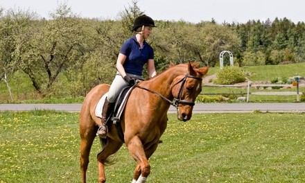 Up to 35% Off on Horse Back Riding - Recreational at Fantasy Blue Farm LLC