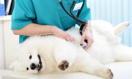 Full Physical Exam for One or Two Pets at Tarpon Animal Hospital (Up to 50% Off)