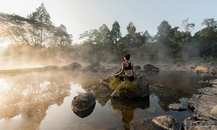 One Manifestation Hypnotherapy Session, One Life-Coaching Goal-Setting Session, or Both (Up to 55% Off)