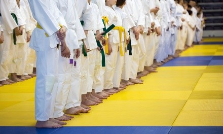 Up to 88% Off on Martial Arts Training for Kids at Flees Black Belt Academy