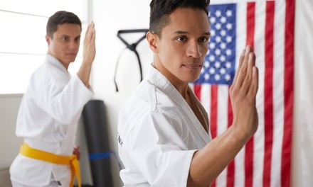 Two or Three Weeks of Taekwondo Classes at Vasquez Taekwondo and Haidong Gumdo Academy (Up to 88% Off)