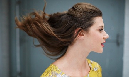 Hair Styling Services from Susan Sprague salon (Up to 55% Off). Four Options Available.