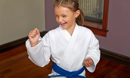 Up to 89% Off on Martial Arts Training for Kids at North Valley Martial Arts