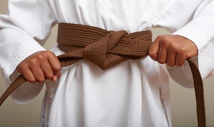 Up to 51% Off on Self Defense Course at Krav Pro