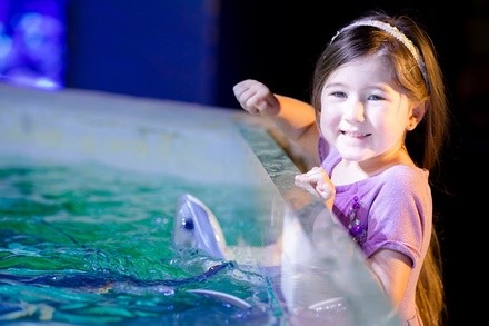 Up to 39% Off on Aquarium Visit at Sea Quest Interactive Aquarium Fort Worth