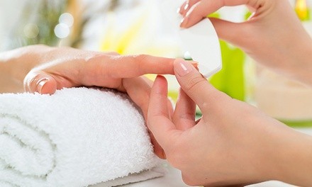 Up to 31% Off on Manicure - Shellac / No-Chip / Gel at Belleza Pura by Andrea