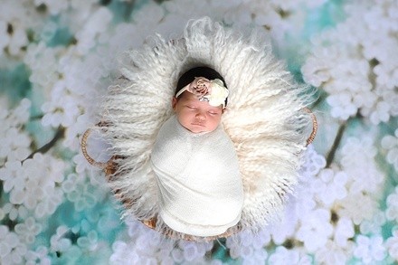 Up to 79% Off on In-Studio Newborn Portrait Photo Shoot with Prints at MTW Portrait Studio