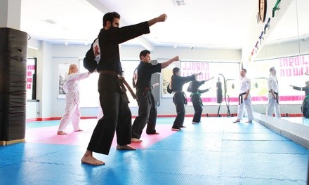 Two Weeks of Group Classes with Private Lessons at Shaolin American Self Defense Academy (Up to 77% Off)