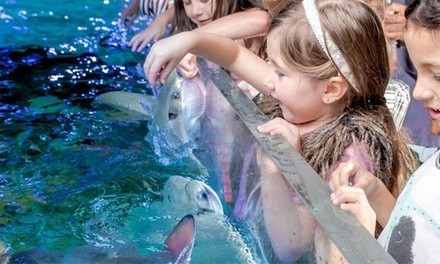 Up to 45% Off on Aquarium Visit at Seaquest Interactive Aquarium Folsom