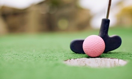 $22 for Family Pack of Golf with 40 Arcade Tokens at Adventure Landing Winston Salem ( $39 Value)