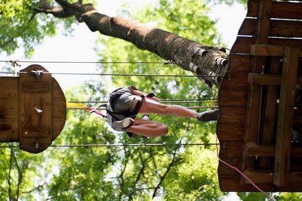 Up to 43% Off on Climbing - Tree at FLG X Adventure Course And Zip Line