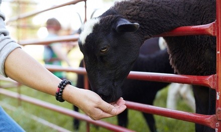 $16.50 for Zoo Admission for One at Charmingfare Farm ($22 Value)